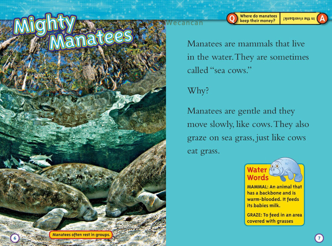 Manatees绘本故事第4页