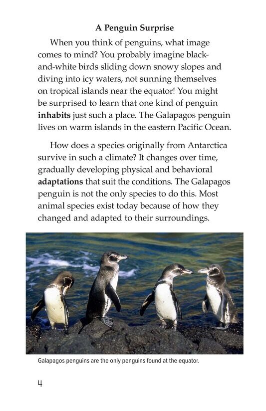 Amazing Animal Adaptations绘本故事第3页