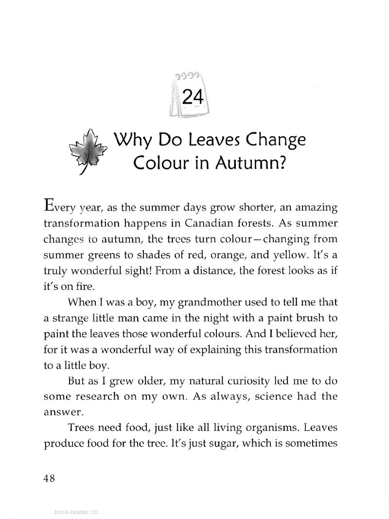 Why Do Leaves Change Colour in Autumn?绘本故事第2页