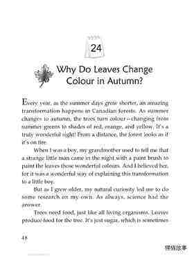 Why Do Leaves Change Colour in Autumn?绘本故事第2页