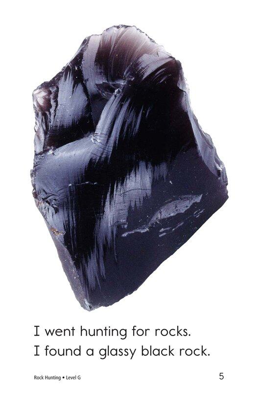 Rock Hunting绘本故事第5页