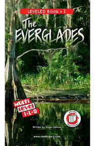 The Everglades