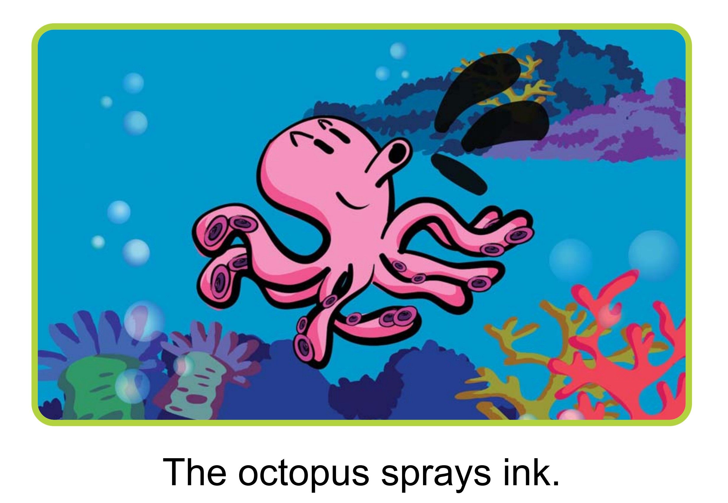 What Is in the Sea绘本故事第3页