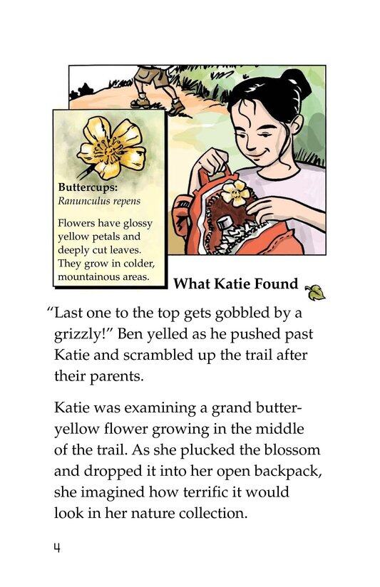 Katie's Forest Finds绘本故事第3页