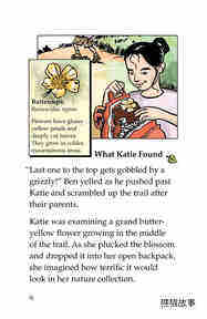 Katie's Forest Finds绘本故事第3页