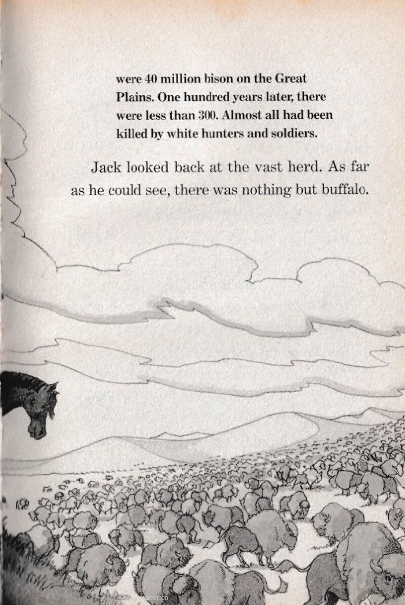 06 Stampede!绘本故事第4页