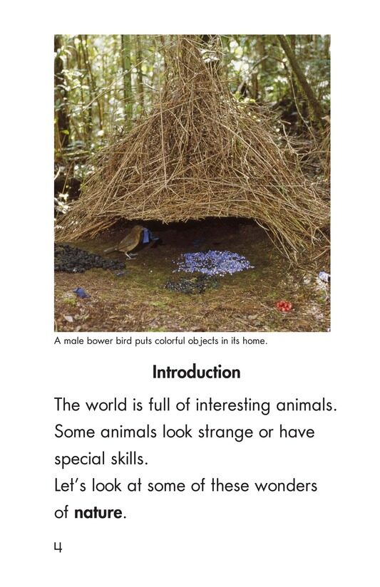 Wonders of Nature绘本故事第3页