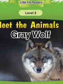 Gray Wolf