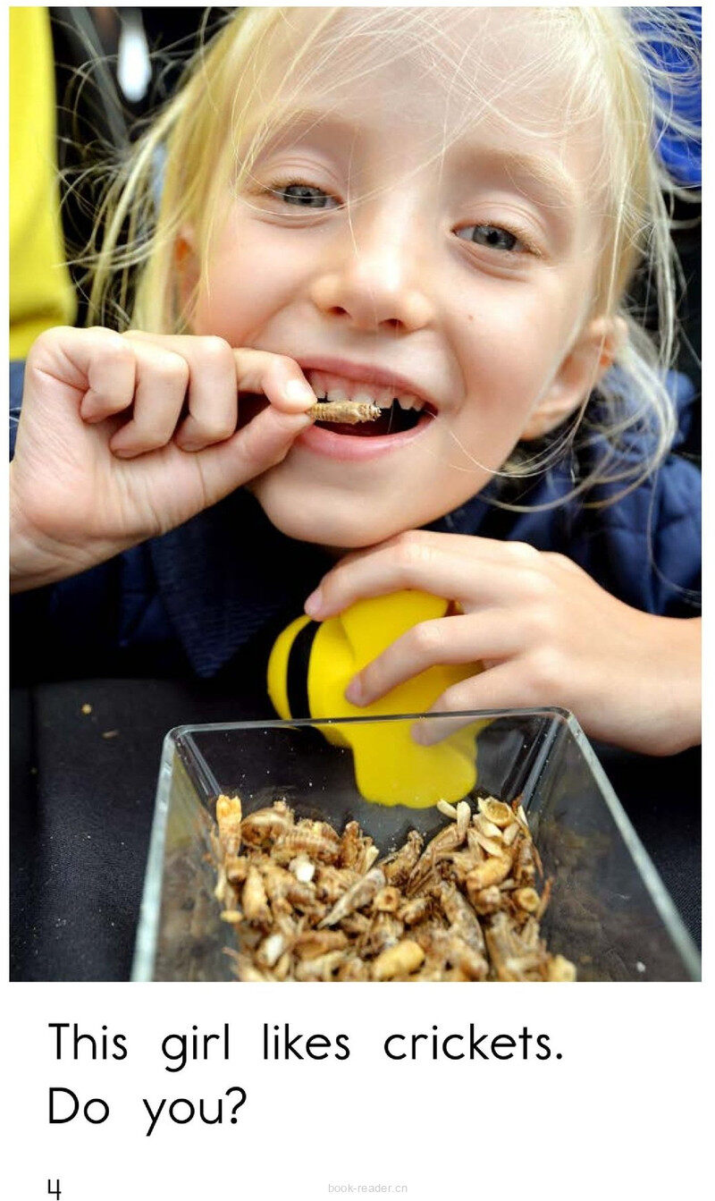 You Like What?	绘本故事第4页