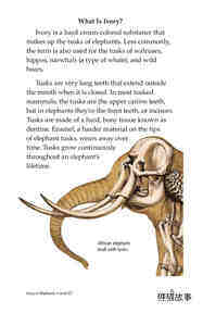 Ivory or Elephants绘本故事第4页