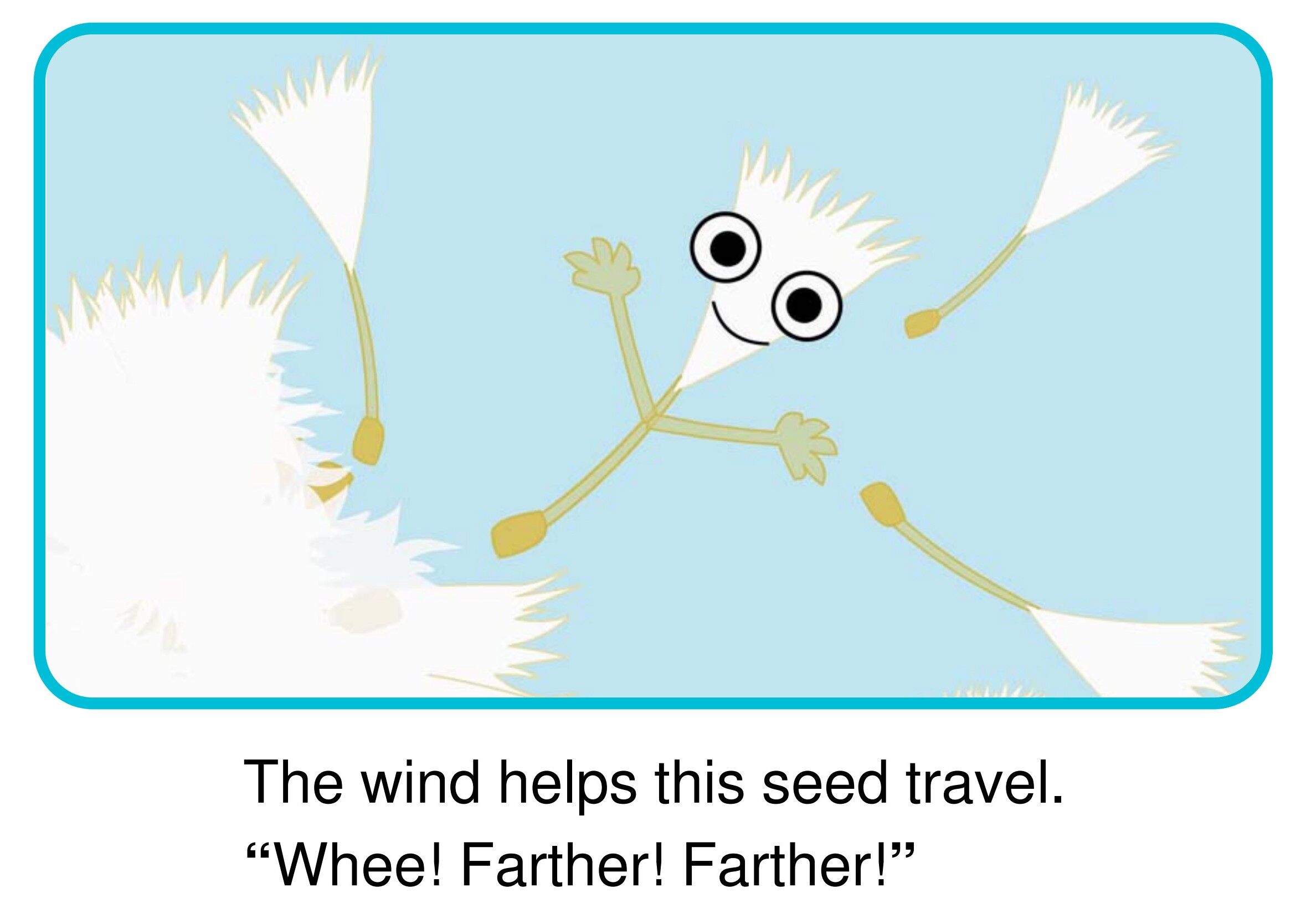 How Do Seeds Travel?绘本故事第3页