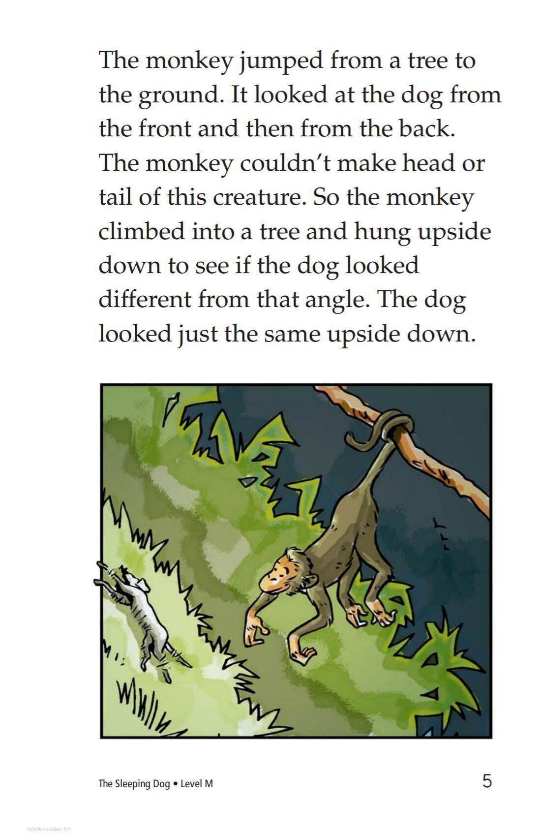 The Sleeping Dog绘本故事第5页