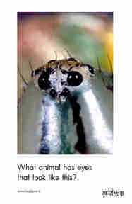 Animal Eyes绘本故事第5页