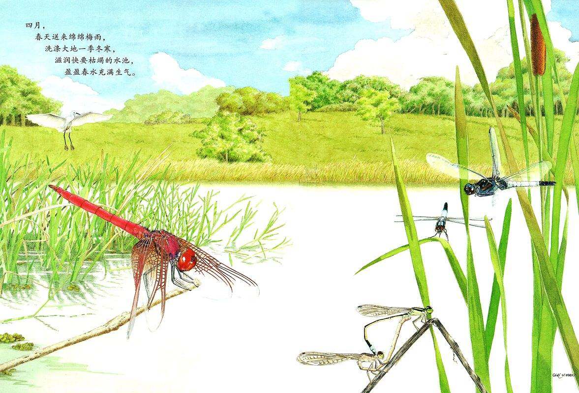 耕林童书馆·池上池下绘本故事第2页