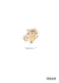 毛头小鹰绘本故事第3页