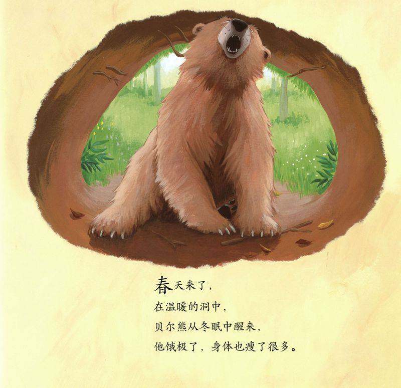 暖房子经典绘本系列·第七辑·贝尔熊:贝尔熊吃不饱绘本故事第2页