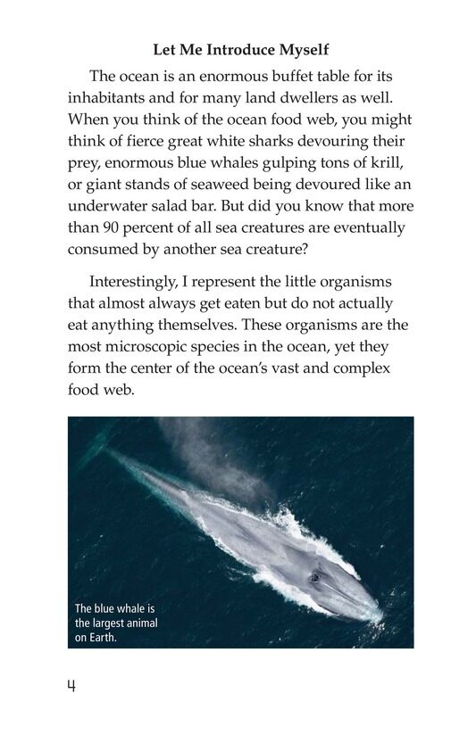 The Amazing Undersea Food Web绘本故事第3页