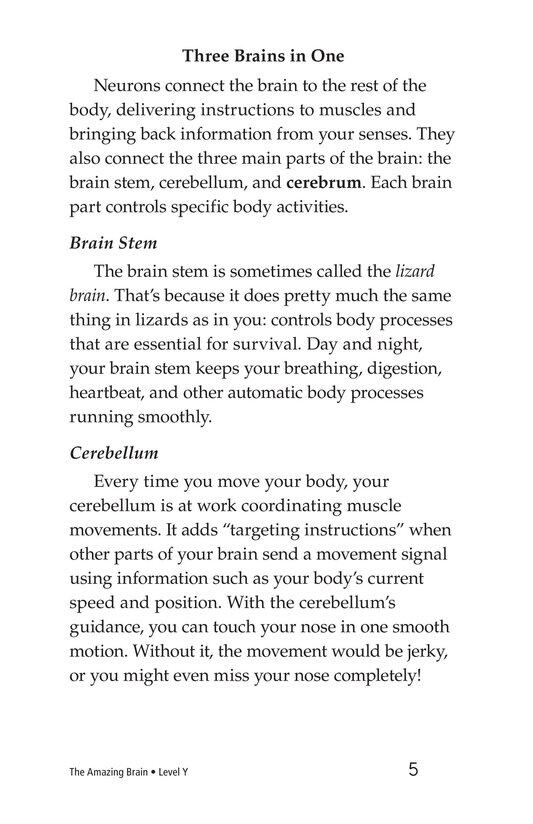 The Amazing Brain绘本故事第4页