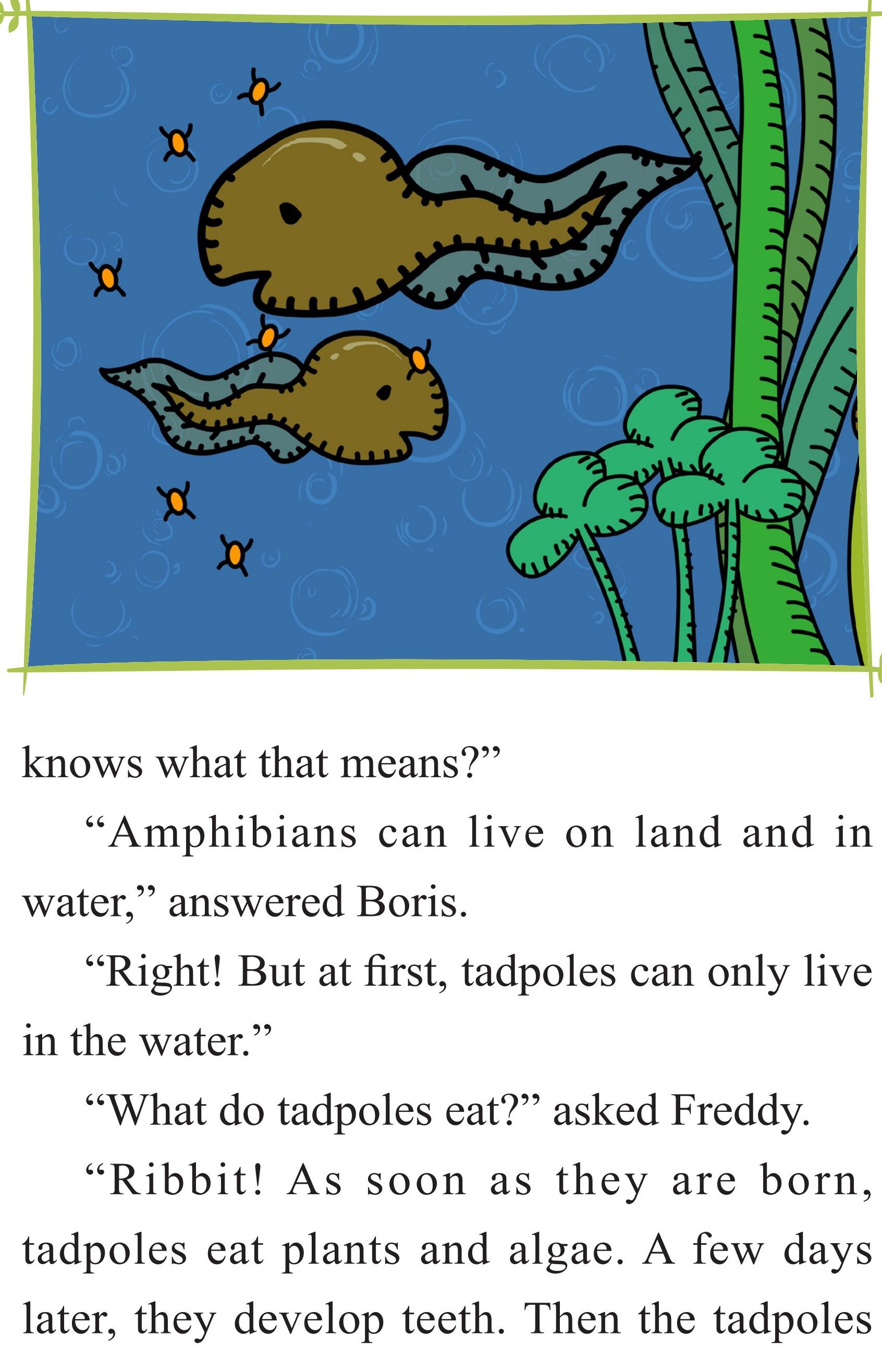 From Tadpole to Frog绘本故事第5页