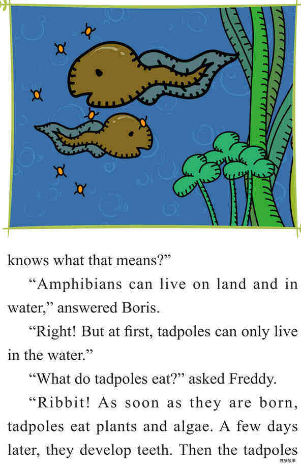 From Tadpole to Frog绘本故事第5页