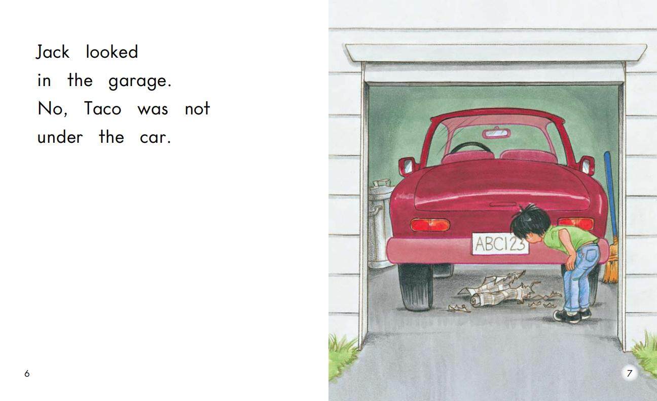 Looking for Taco绘本故事第5页