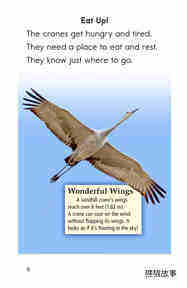 Here Come the Cranes!绘本故事第5页