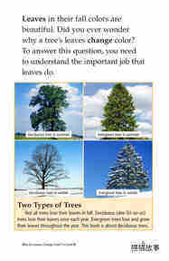 Why Do Leaves Change Color绘本故事第4页