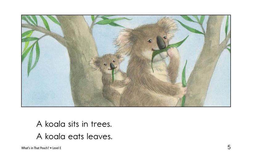 What's In That Pouch绘本故事第5页