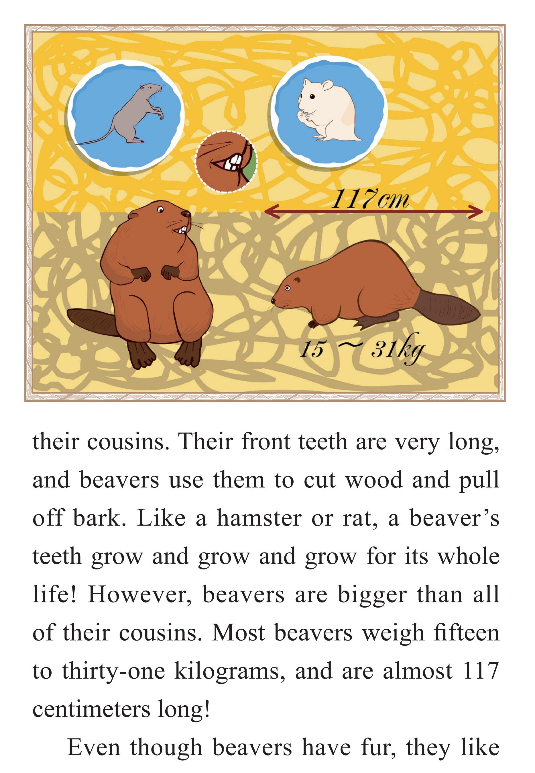 The Clever Beaver绘本故事第4页