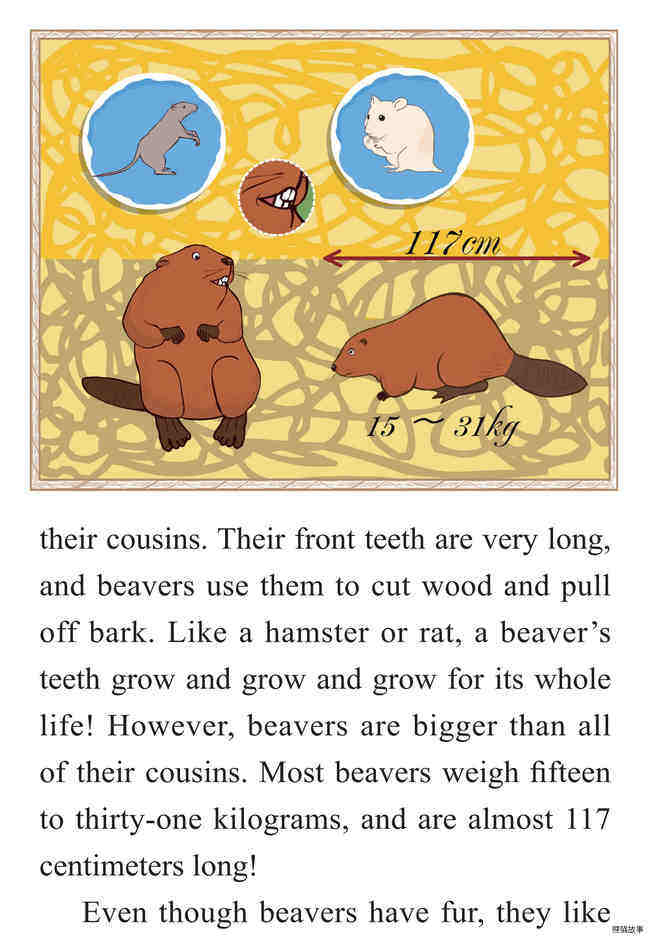 The Clever Beaver绘本故事第4页