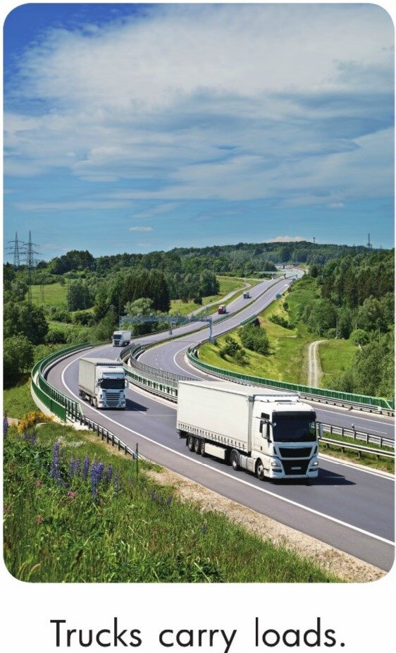 What Carries Loads?绘本故事第3页