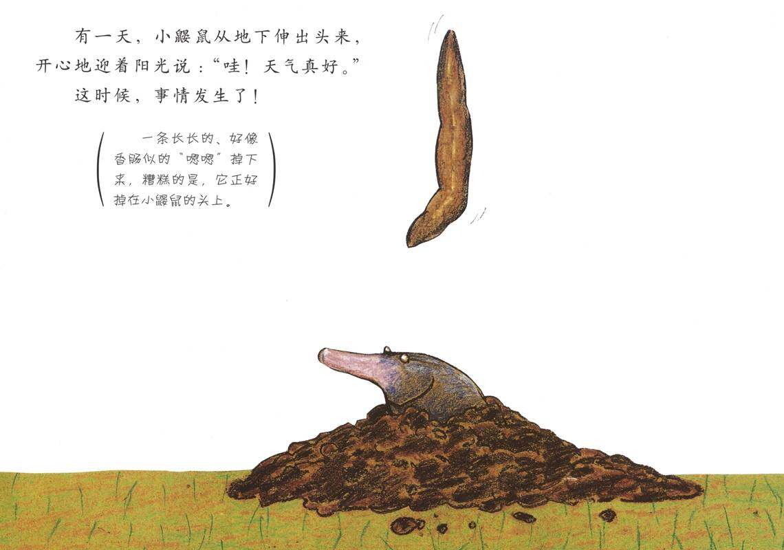 是谁嗯嗯在我的头上绘本故事第2页