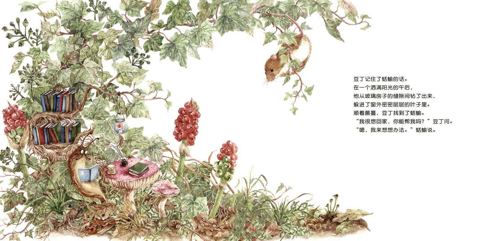 豆丁要回家绘本故事第4页