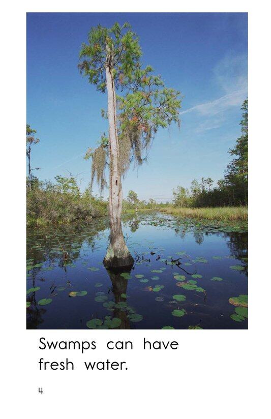 Swamps绘本故事第4页
