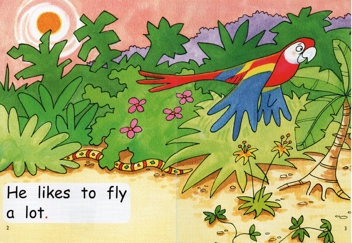 stickybeak the parrot绘本故事第3页