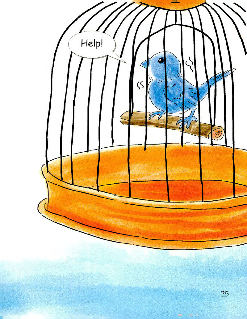 A Bird and a Cat绘本故事第3页