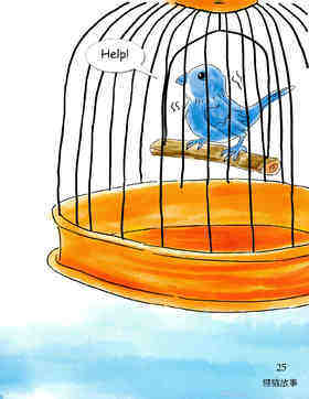 A Bird and a Cat绘本故事第3页