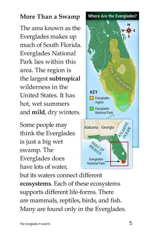 The Everglades绘本故事第4页