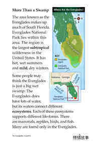 The Everglades绘本故事第4页