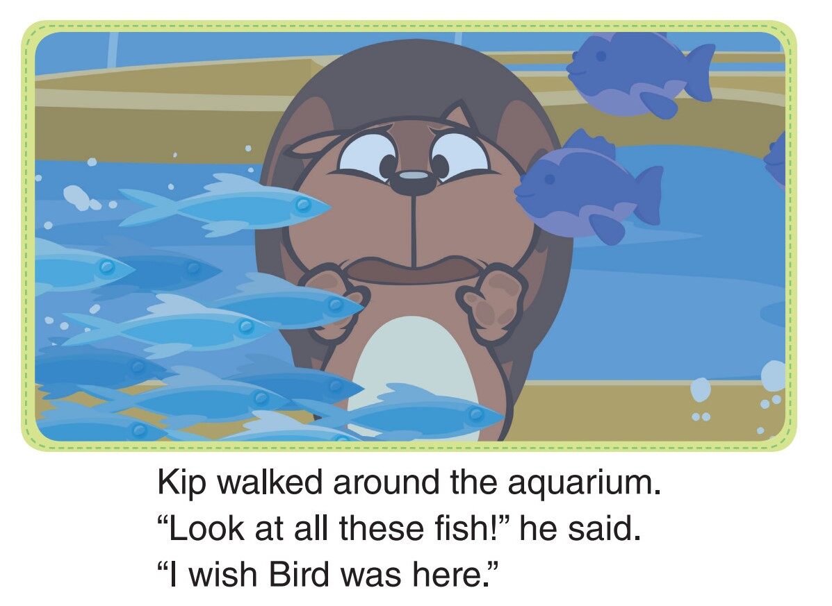 Looking at Fish绘本故事第3页