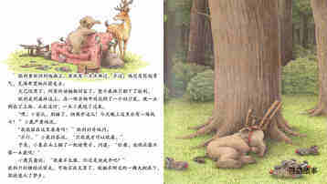 小象欧利找弟弟绘本故事第5页