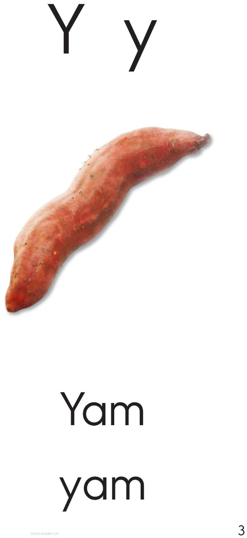 Letter Y绘本故事第3页