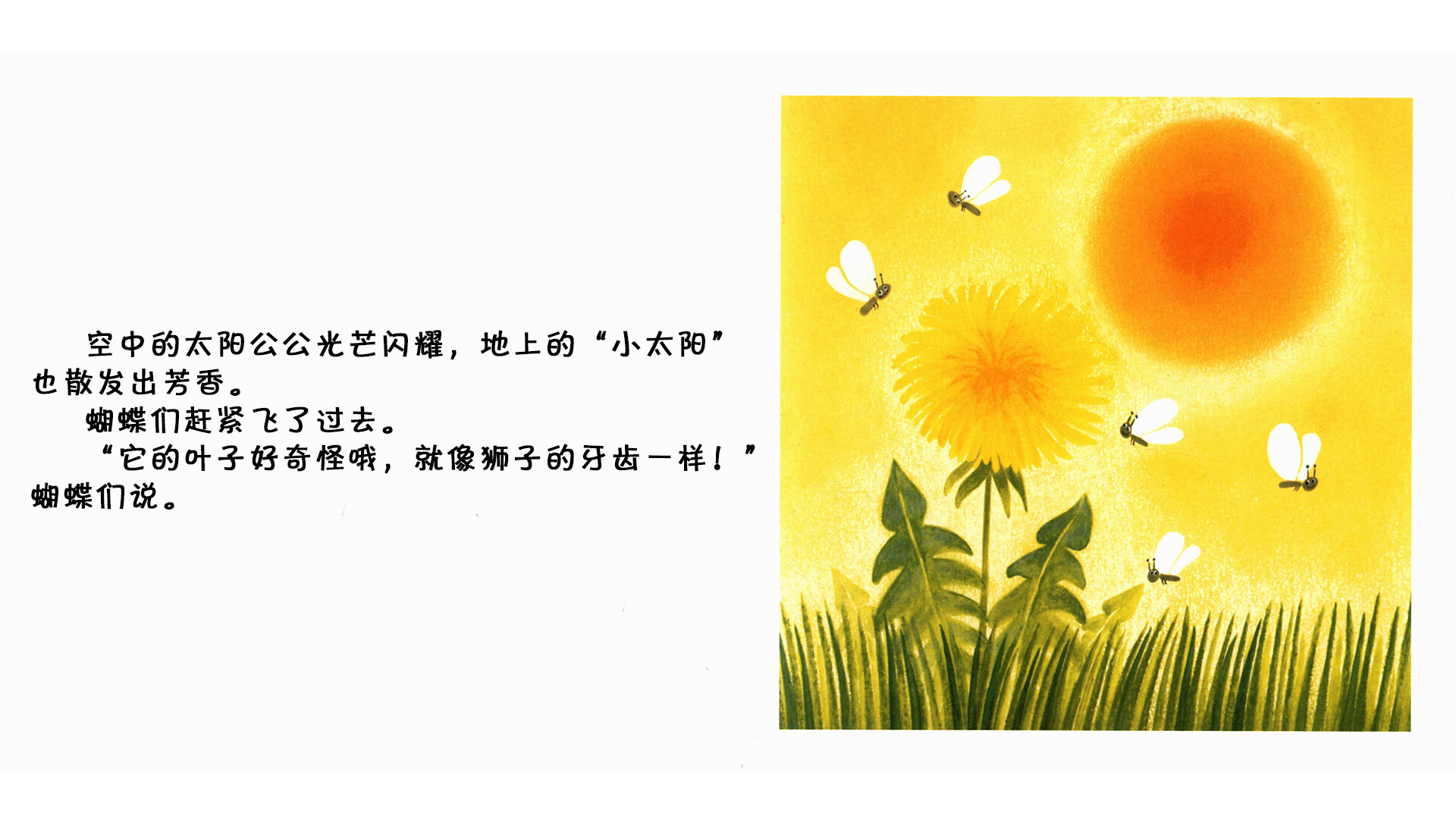 蒲公英  绘本故事第5页