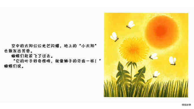 蒲公英  绘本故事第5页