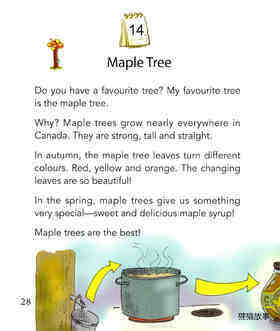 Maple Tree绘本故事第2页