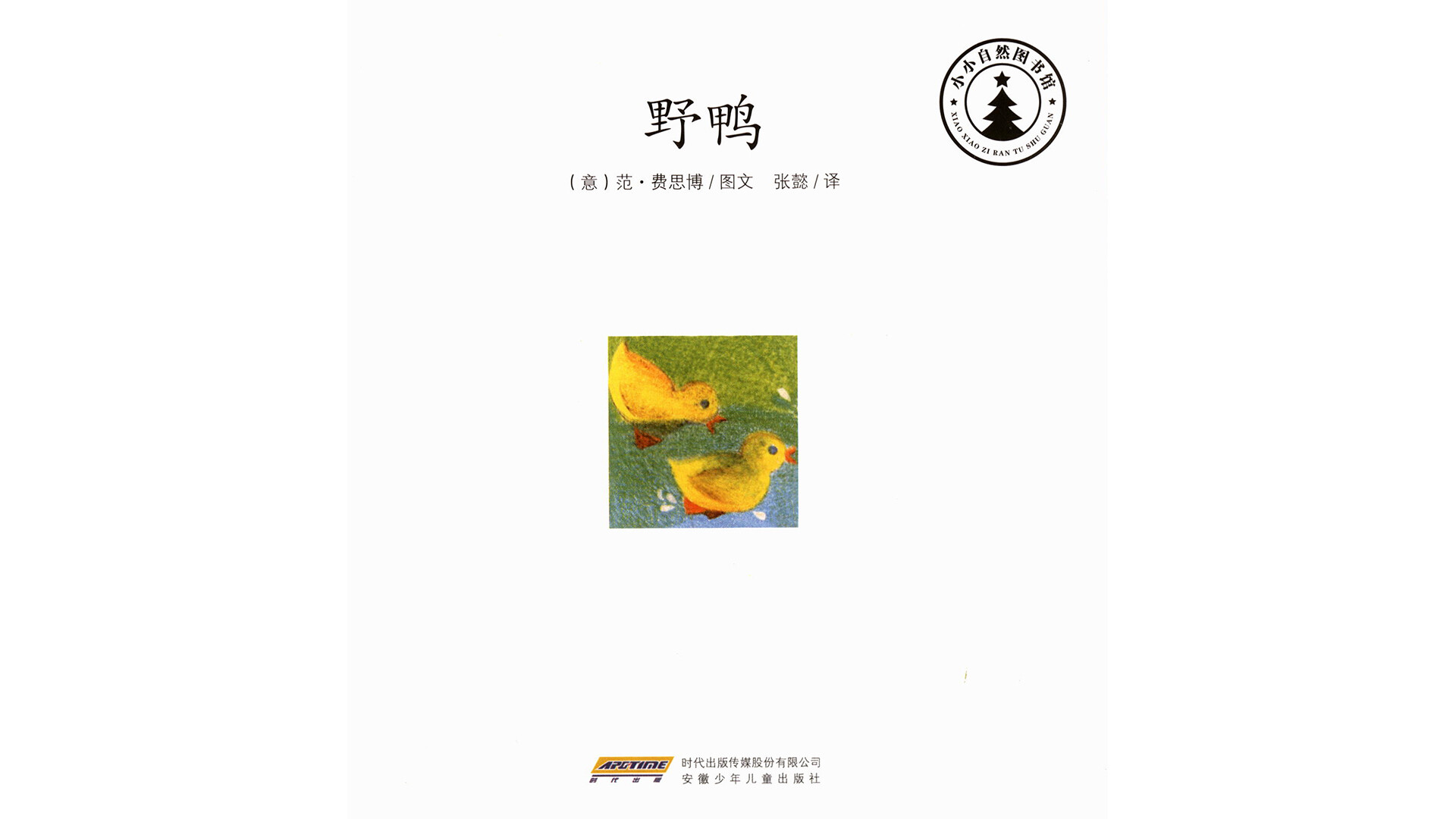 野鸭绘本故事第2页