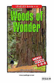 Woods of Wonder
