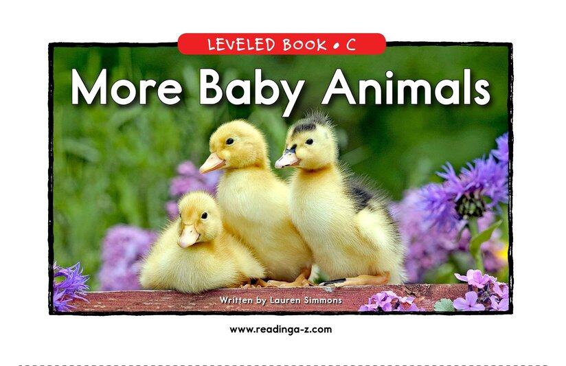 More Baby Animals绘本故事第2页