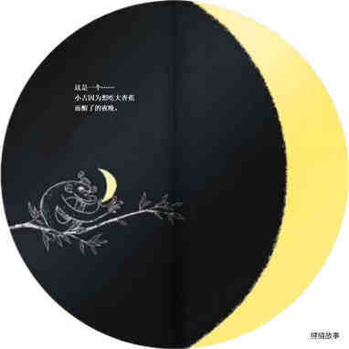 这是一个……的夜晚绘本故事第5页