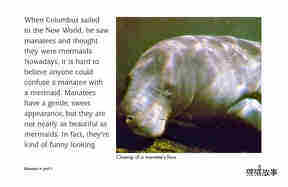 Manatees绘本故事第4页